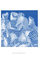 Saturated Coral IV Framed Print