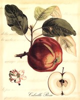 Custom Tuscan Fruits I (AO) Framed Print