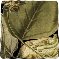 Tranquil Tropical Leaves I Fine Art Print