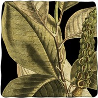 Tranquil Tropical Leaves II Fine Art Print