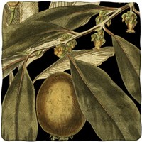 Tranquil Tropical Leaves IV Fine Art Print