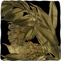 Tranquil Tropical Leaves VI Fine Art Print