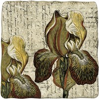 Vintage Composition III Fine Art Print