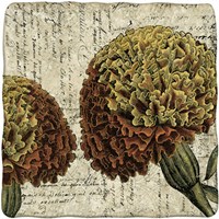 Vintage Composition IV Fine Art Print