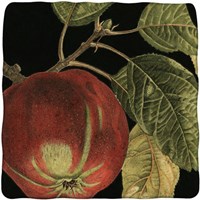 Dramatic Apple Fine Art Print