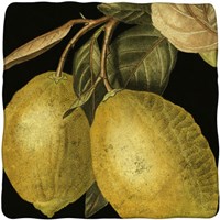 Dramatic Lemon Fine Art Print