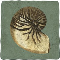 Oceans Treasure III Fine Art Print