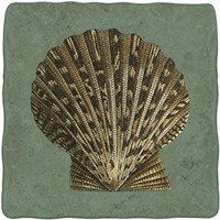 Oceans Treasure IV Fine Art Print