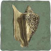 Oceans Treasure VI Fine Art Print