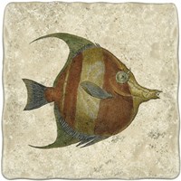 Angel Fish II Fine Art Print