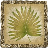 Exotic Palm Leaf II Fine Art Print