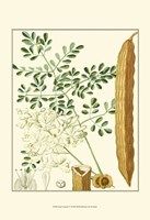 Tropicals IV Fine Art Print