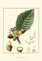 Tropicals V Fine Art Print