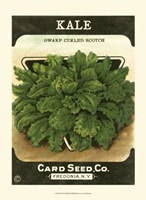 Kale Framed Print