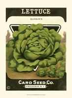 Lettuce Framed Print