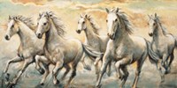 Wild Horses Fine Art Print