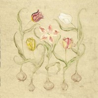 Dancing Bulbs II Fine Art Print