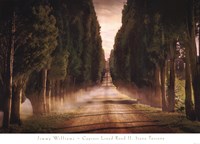 Cypress Lined Road II, Siena Tuscany Fine Art Print