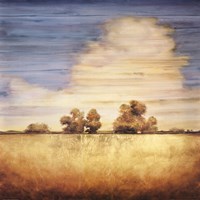 Lucent I Fine Art Print