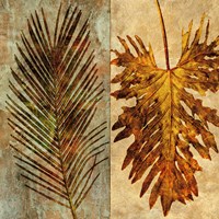 Palms Pairs II Fine Art Print