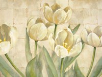 White Tulips on Ivory Fine Art Print