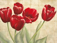 Red Tulips on Ivory Fine Art Print