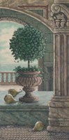 Pears and Topiary Fine Art Print