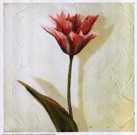 Tulip III Fine Art Print