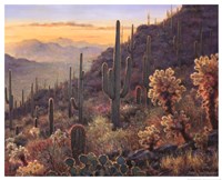 Sonoran Sunset by Gretchen Huber Warren - 31" x 25"