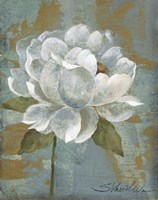 Peony Tile I Fine Art Print