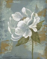 Peony Tile II Fine Art Print