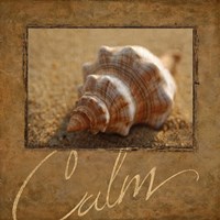 Calm Fine Art Print
