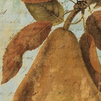 Joli Fruit II Fine Art Print