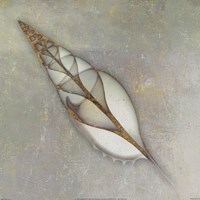 Neptune's Garden II Fine Art Print