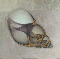 Neptune's Garden III Fine Art Print