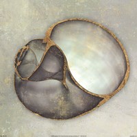 Neptune's Garden IV Fine Art Print