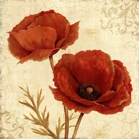 Poppy Bouquet I Fine Art Print