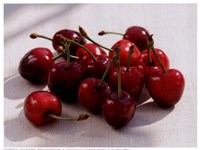 Morello Cherries II by Martina Schindler - 10" x 7"