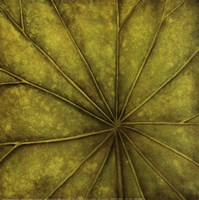 Palm Green by Caroline Wenig - 12" x 12"
