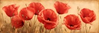 Poppies Grace I Fine Art Print