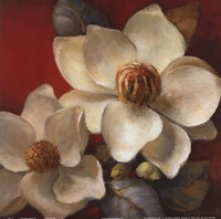 Magnolia Passion II by Lanie Loreth - 12" x 12"