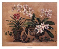 An Orchid Renaissance by Barbara Mock - 32" x 27"