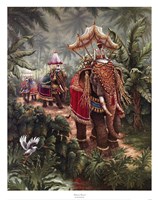 Festival Bound Fine Art Print