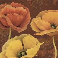 Sunset II Fine Art Print