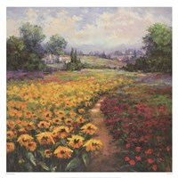 Tuscan Pleasures I Fine Art Print