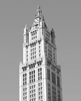 Woolworth Building, NY Fine Art Print