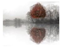 Mirror Lake Fine Art Print