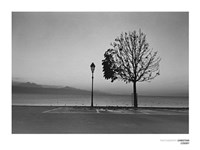 Lurty, Lac Leman Fine Art Print