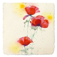 Papaveri II Fine Art Print