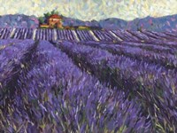 Lavender Fields I Fine Art Print